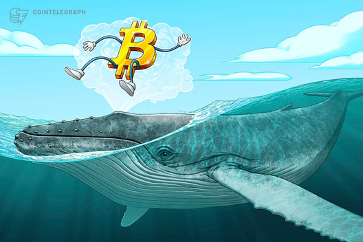 Don’t panic? ‘Smart money’ whales are waiting to buy Bitcoin at $8,800