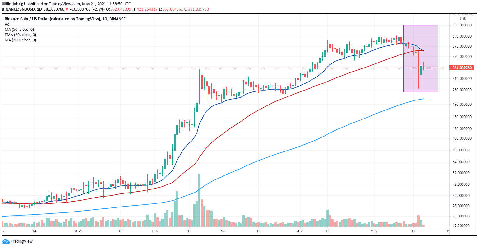 BNB suffered a 50 percent loss in 24 hours. Souce: BNBUSD on TradingView.com