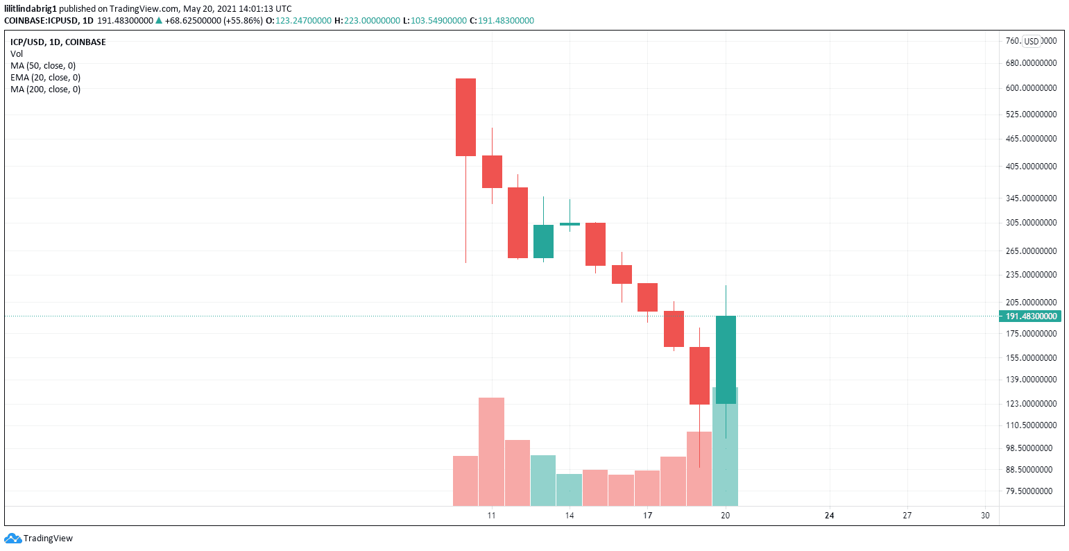 Internet Computer ICP canister