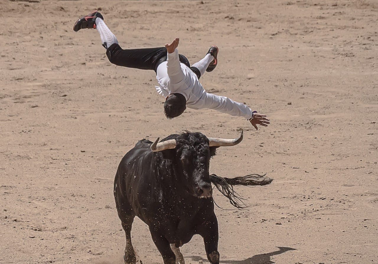 Bulls Pump Dogecoin Price After Elon Musk Announces Development Support