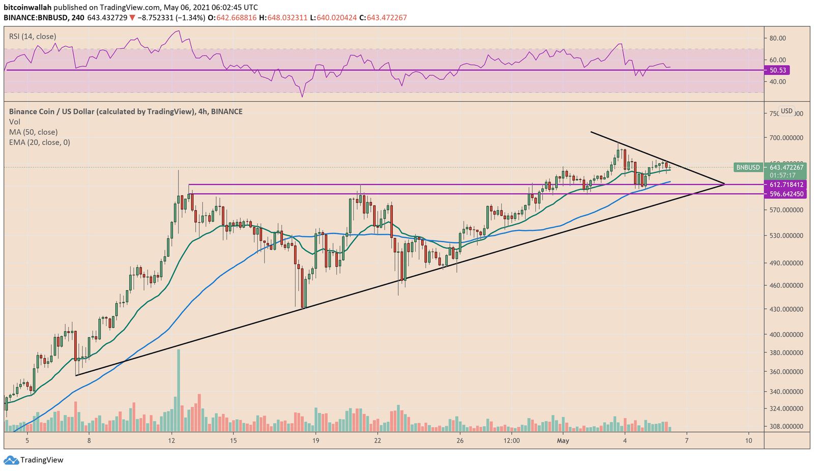 Binance Coin cryptocurrency trade setup alerts about potential declines