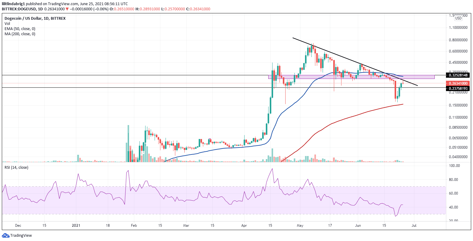Doge logging gains amid the crypto recovery. Source: DOGEUSD on TradingView.com