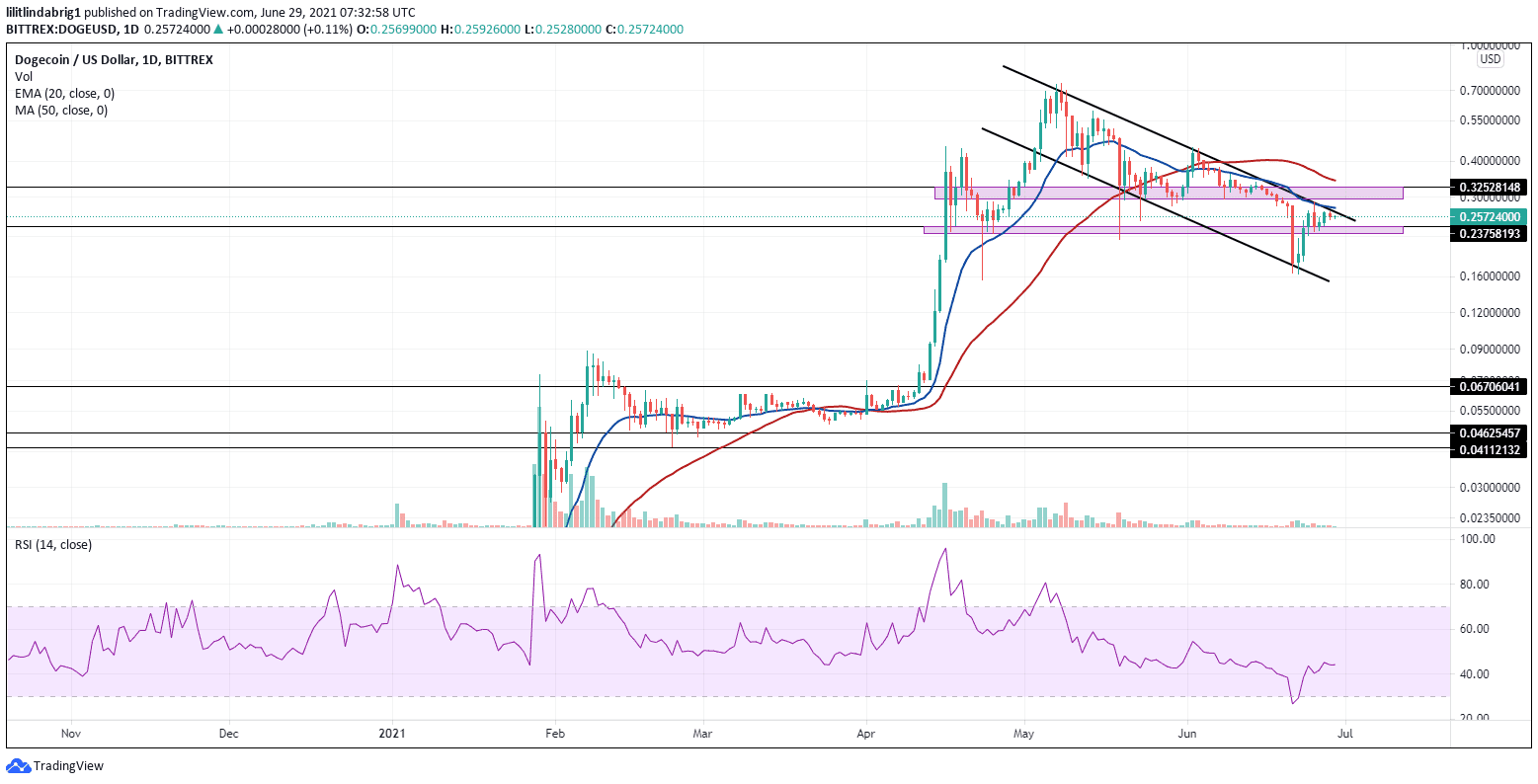 Dogecoin gains 6% on Monday. Source: DOGEUSD on TradingView.com