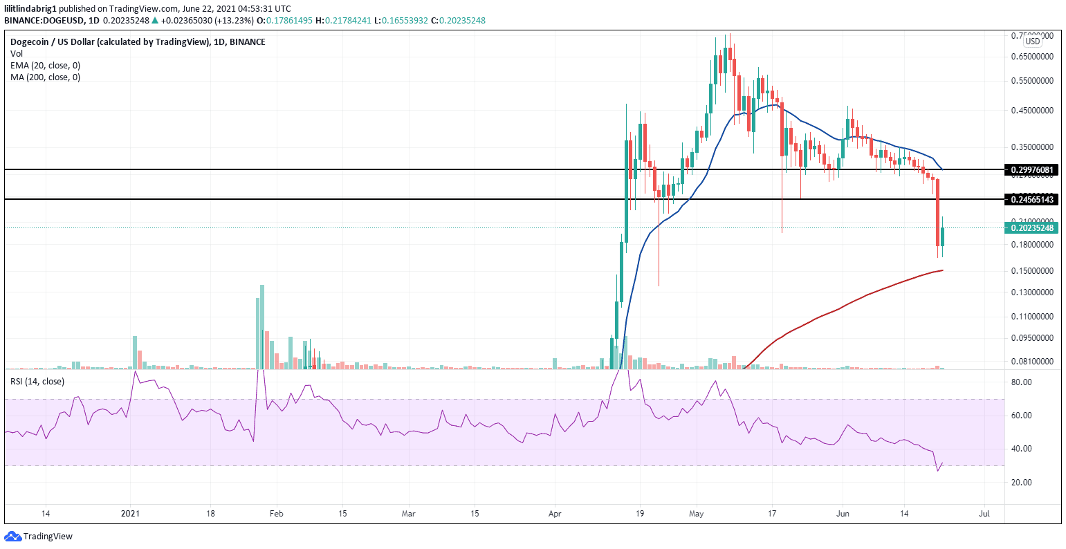 Dogecoin loses 24 percent before attempting recovery. Source: DOGEUSD on TradingView.com
