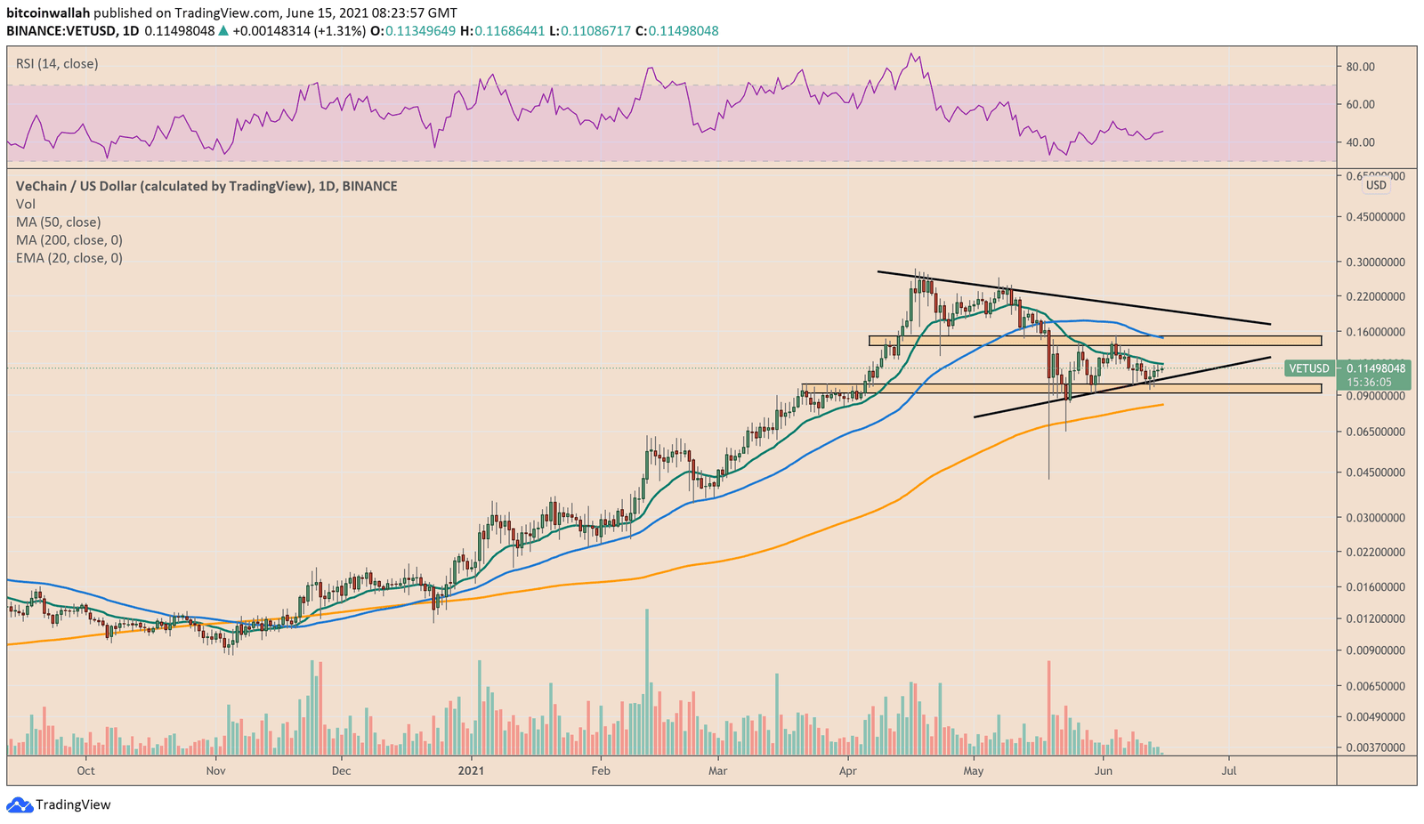 VeChain technical setup