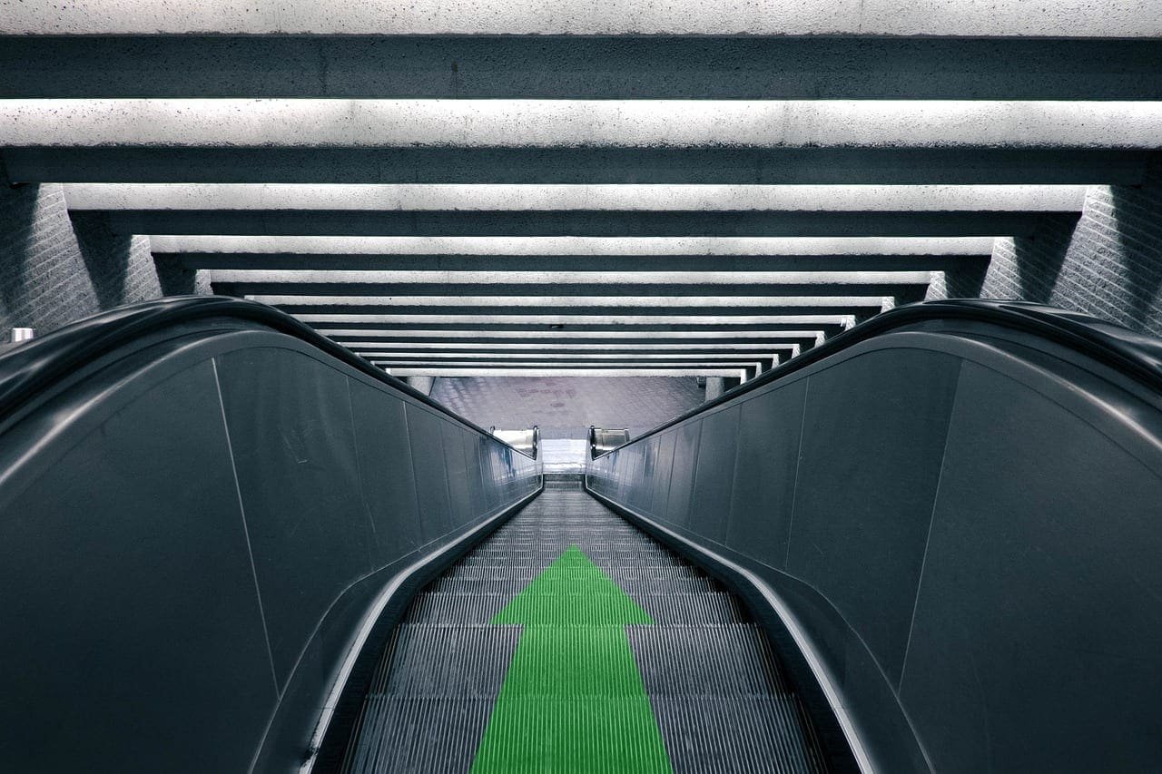 dogecoin doge elon musk