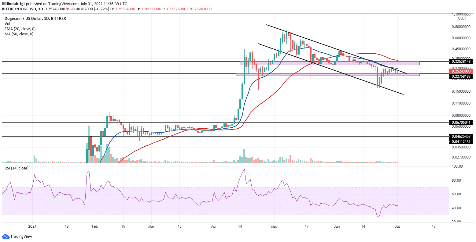 Dogecoin consolidating despite Musk's efforts. Source: DOGEUSD on TradingView.com