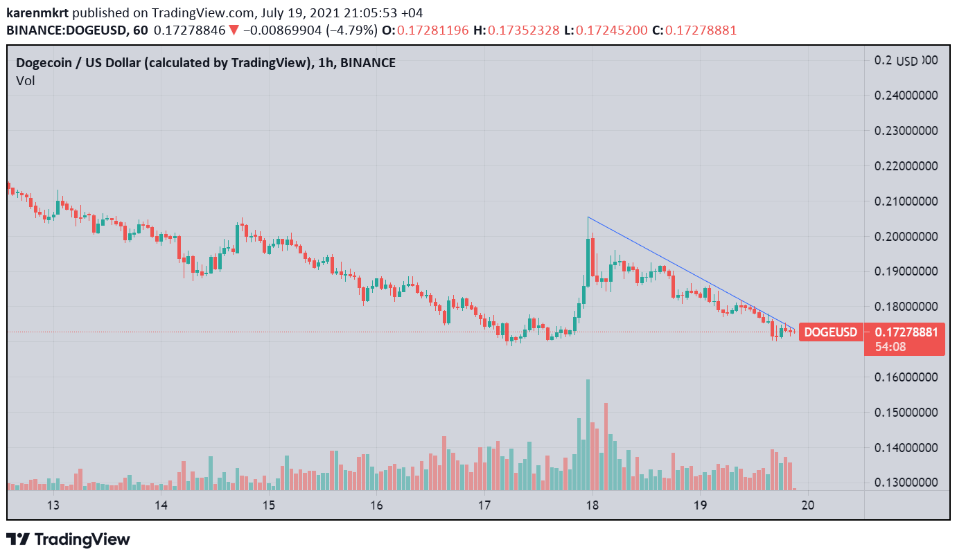 Dogecoin is currently trading at $0.17. Credit:-DOGEUSD on TradingView
