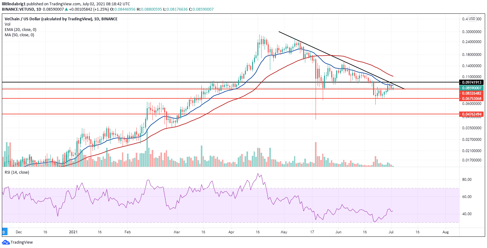 VeChain daily chart. Source: VETUSD on TradingView.com 
