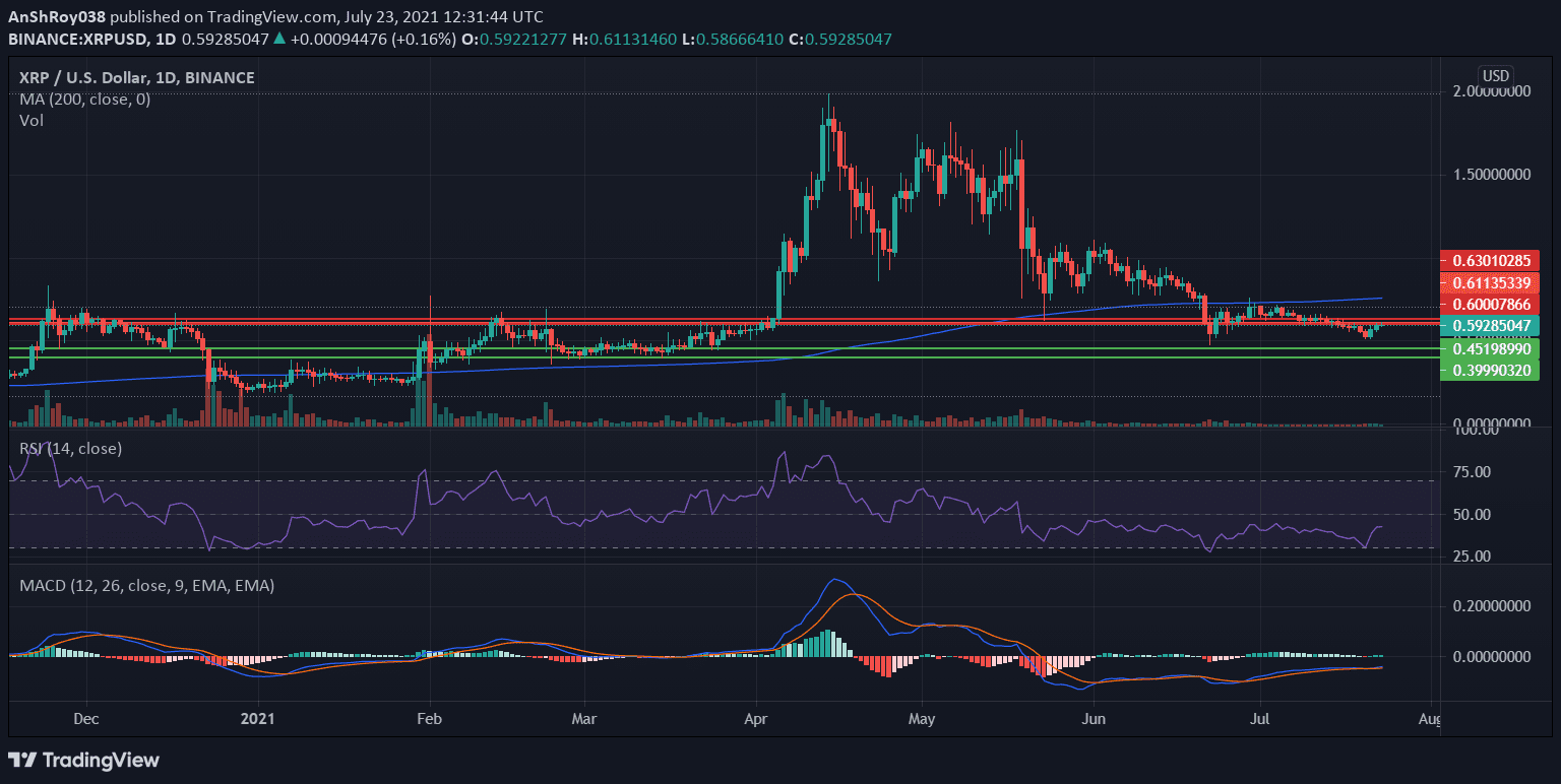 Ripple momentum oscillators on the daily charts.