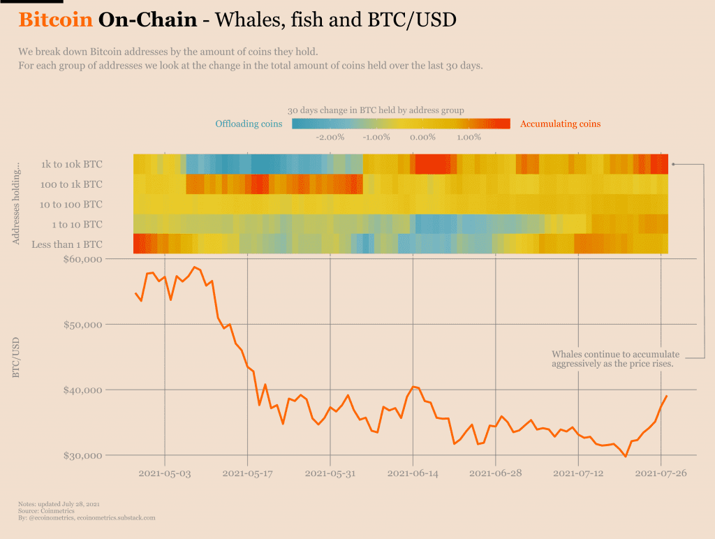 Whales and small fishes have been accumulating Bitcoin