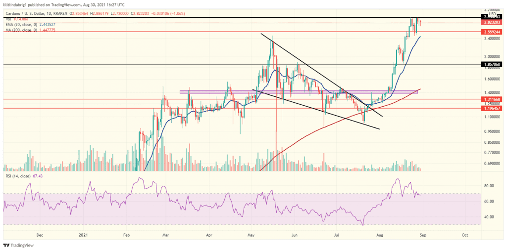 Cardano (ADA) in a consolidation phase. Source: ADAUSD on TradingView.com 