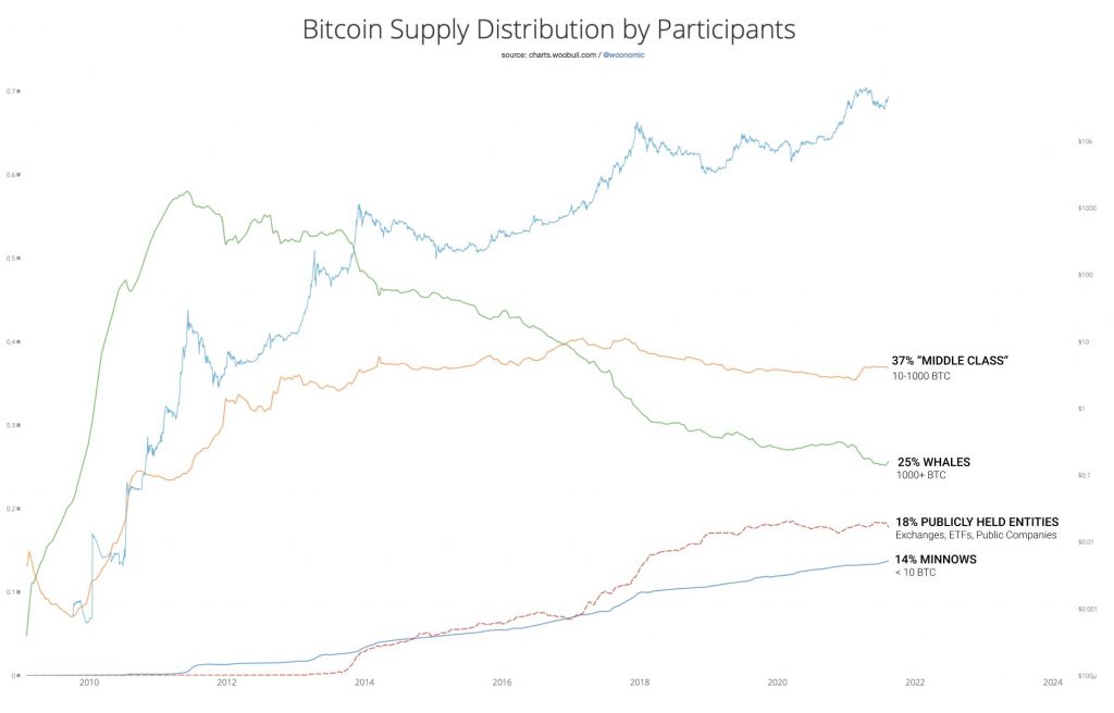 Bitcoin supply distribution. Source: Willy Woo / Woonomics