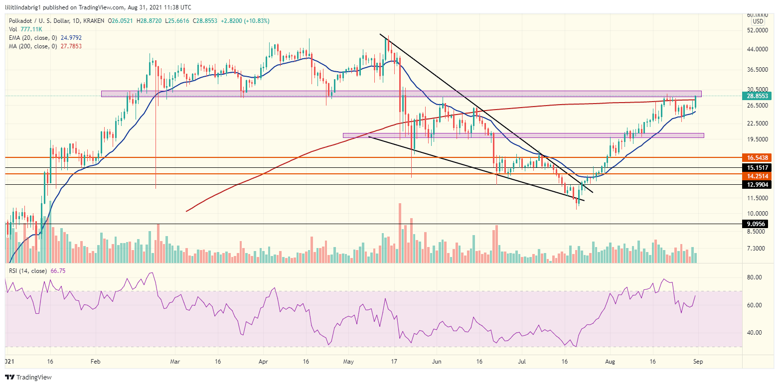 DOT gained 15.5% in 24 hours. Source: DOTUSD on TradingView.com