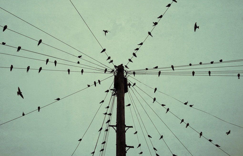 Metcalfe's law, Ethereum Bitcoin Raoul Pal