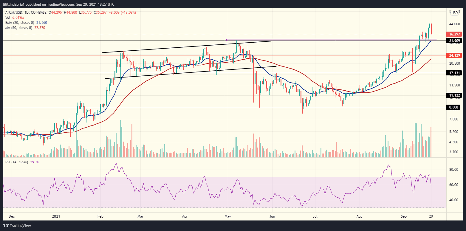 Cosmos' violent 20% drop after an all-time high. Source: ATOMUSD on TradingView.com 