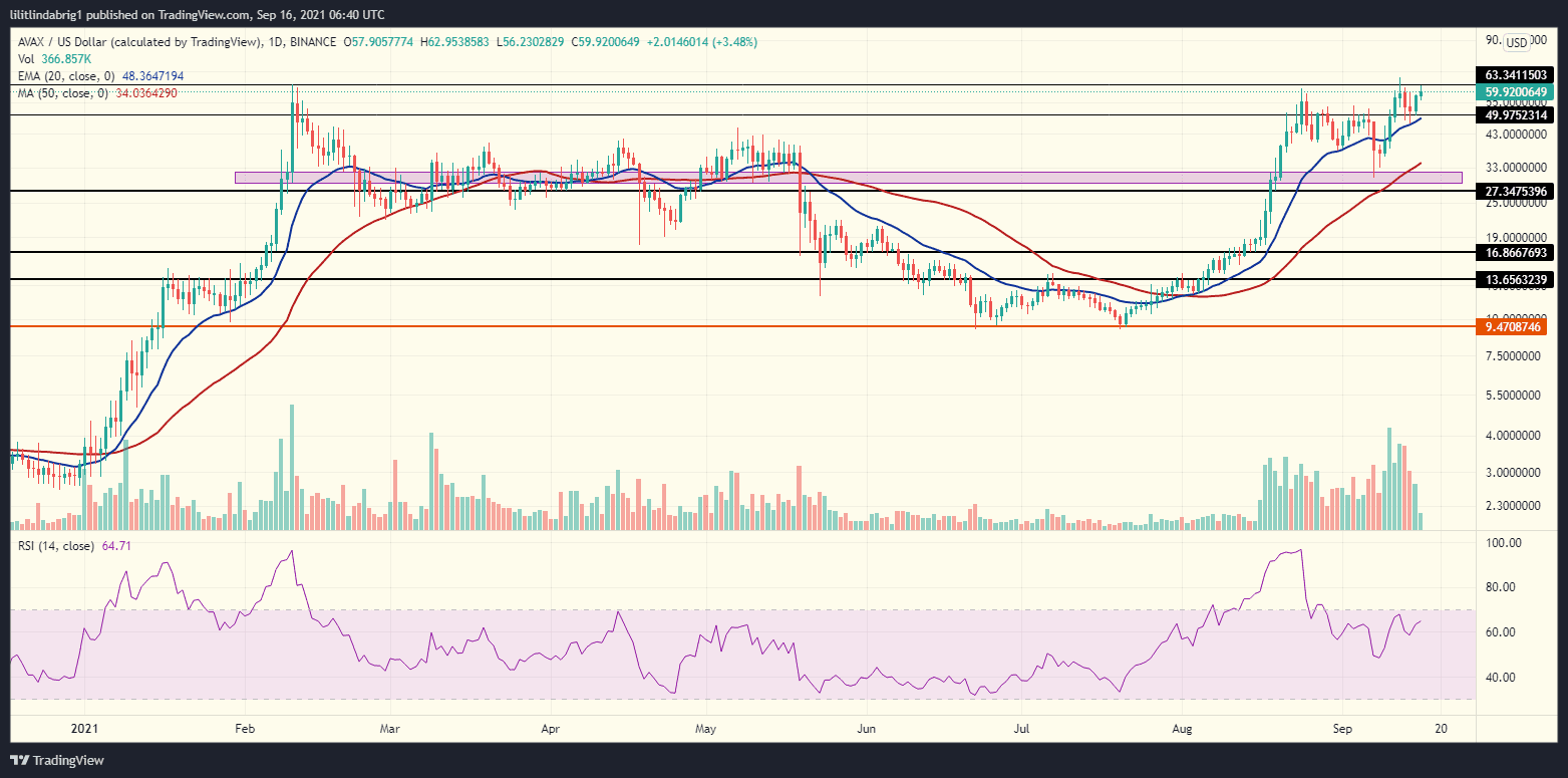 Avalanche poised for new gains. Source: AVAXUSD on TradingView.com