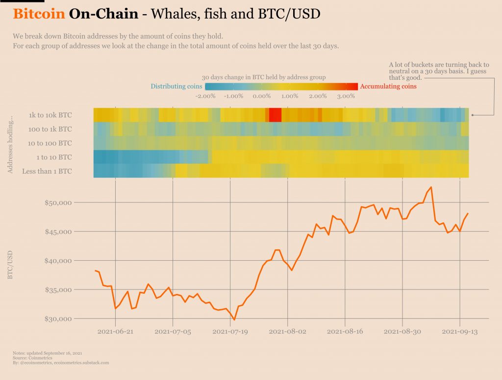 Bitcoin, Bitcoin whale accumulation heats up as BTC holds above $47K