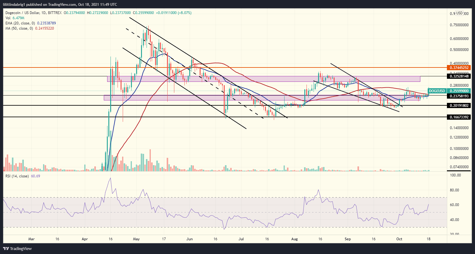 Dogecoin gains 20% following a tweet from Elon Musk. Source: DOGEUSD on TradingView.com 