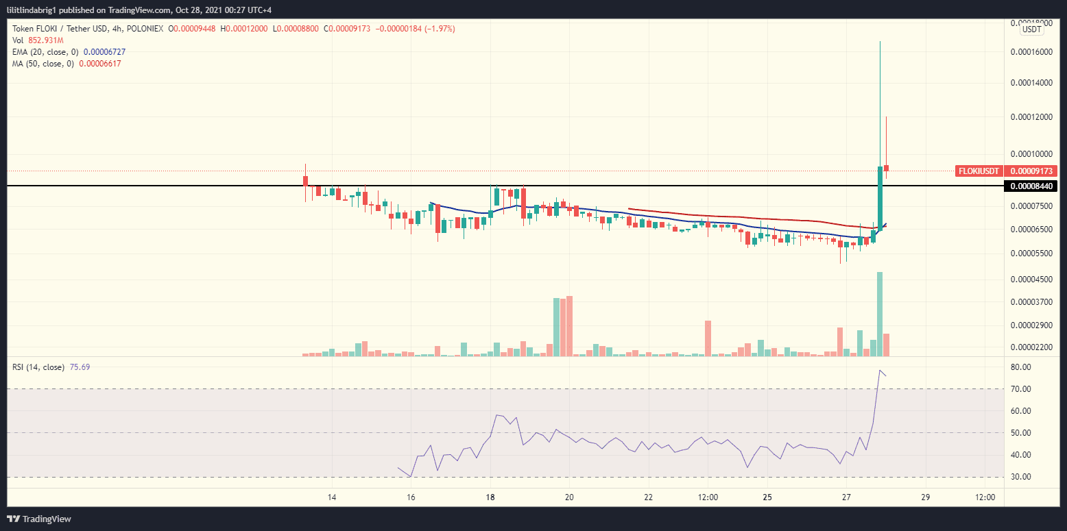 Floki Inu Price Daily Chart