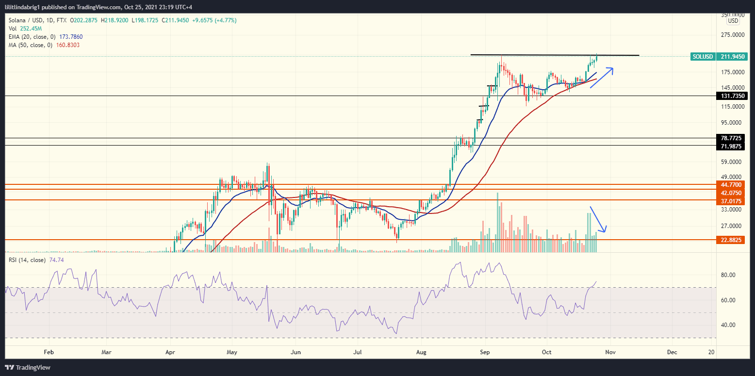 Possible Double Top pattern on the SOL daily chart. Source: SOLUSD on TradingView.com