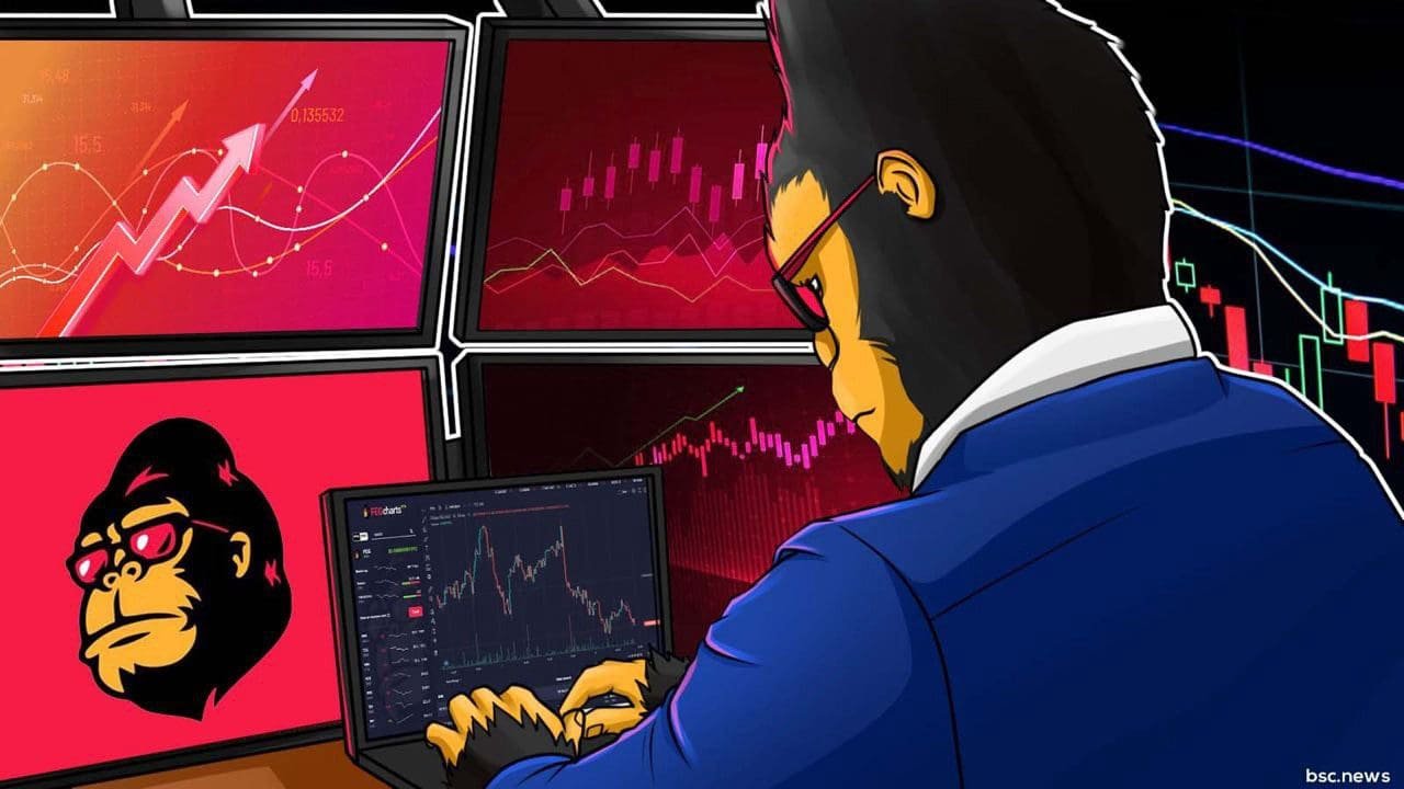 FEG Coin launched its 2.0 version testing Feed Every Gorilla FEG Coin launched its 2.0 version testing