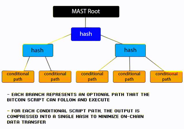 MAST roots will eliminate transactions inefficiencies on Bitcoin