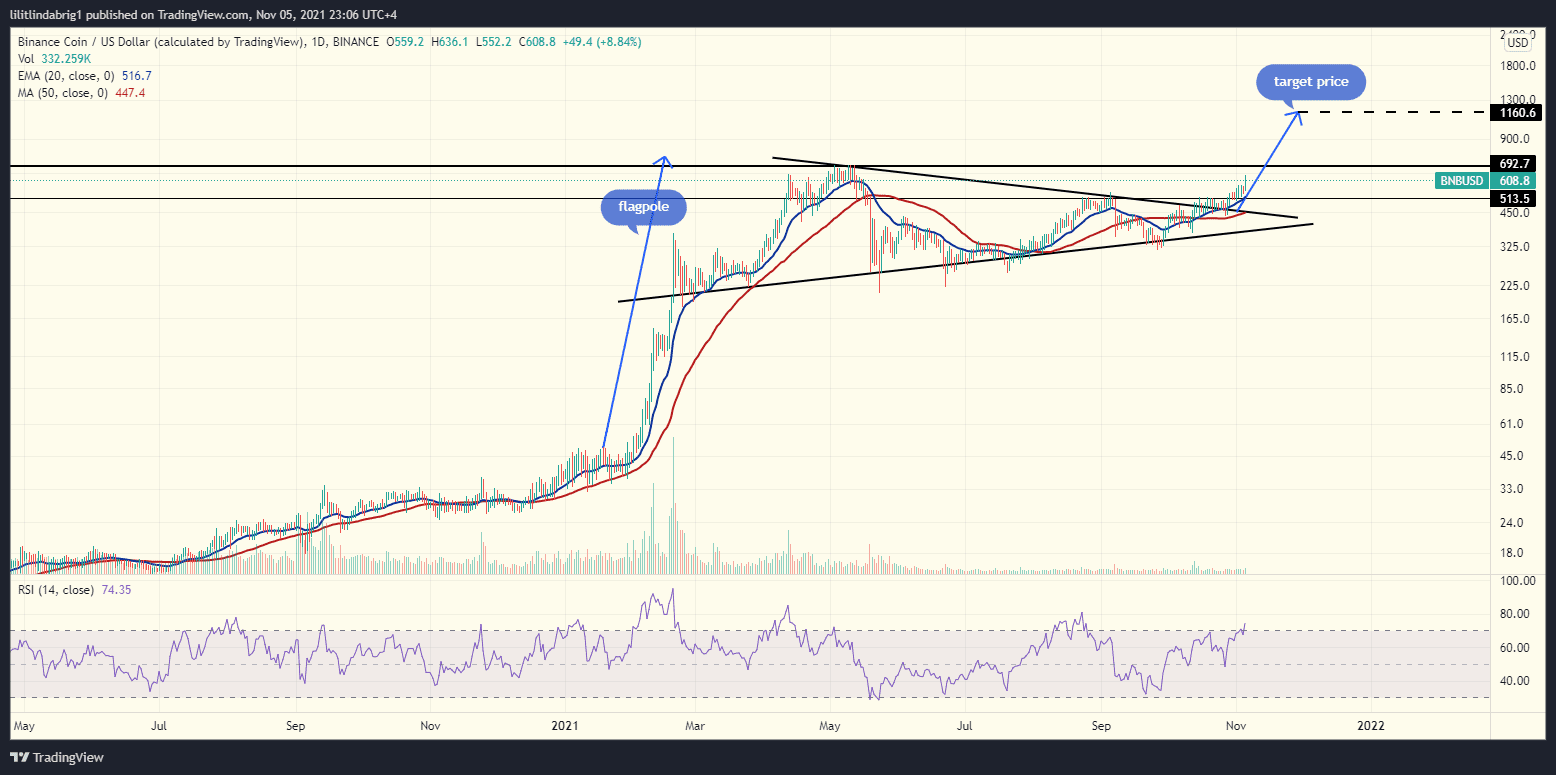 Binance coin in a bullish Pennant. Source: BNBUSD on TradingView.com 