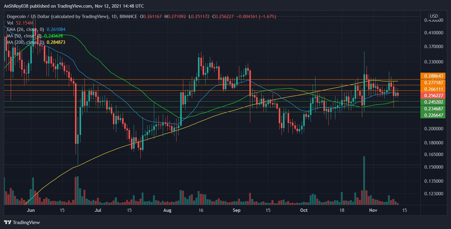 DOGE prices are in a slump despite the AMC adoption news. 