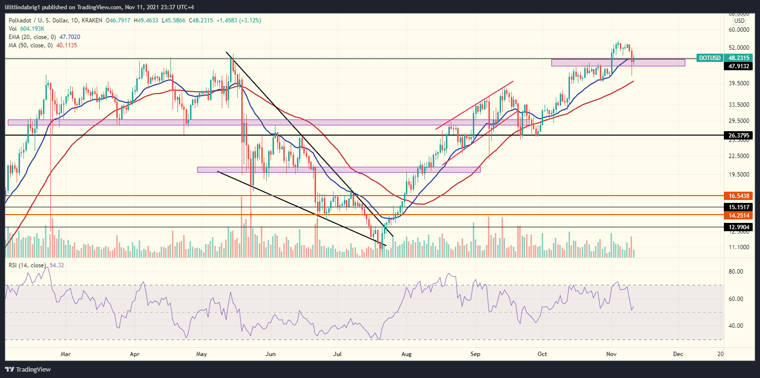 Polkadot parachain auctions planted a green candle on the DOT chart. 