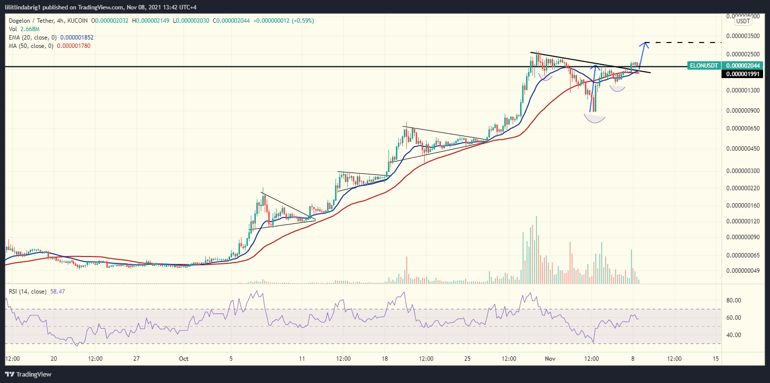 Dogelon eyes an over 5000% quarterly gain on a bullish setup. Source: ELONUSD on TradingView.com 