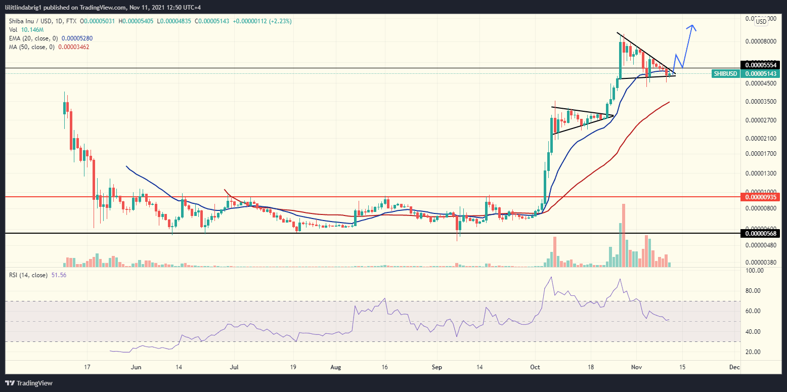 Shiba Inu Price Analysis
