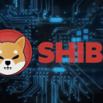 Is Shiba Inu the next target for crypto hackers?