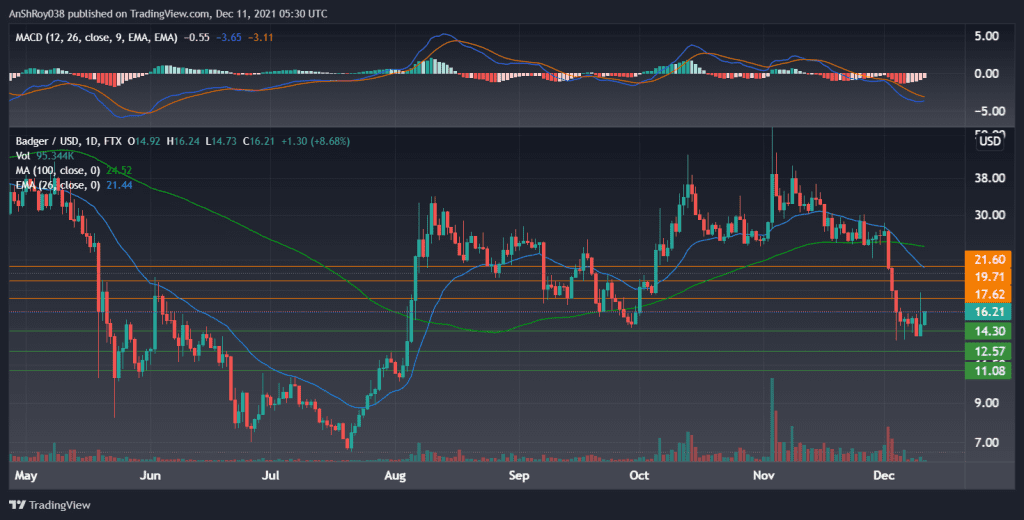 BADGERUSD on the daily charts with MACD. Source: Tradingview.com 
