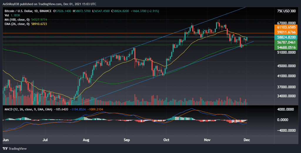 BTCUSD daily chart and MACD. Source: Tradingview.com
