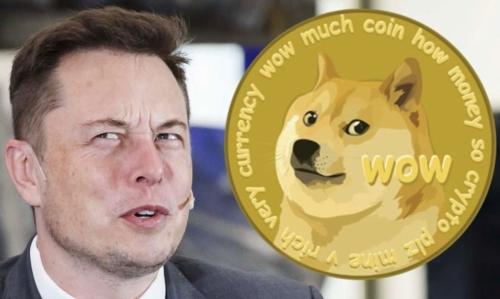 Tesla Dogecoin DOGE