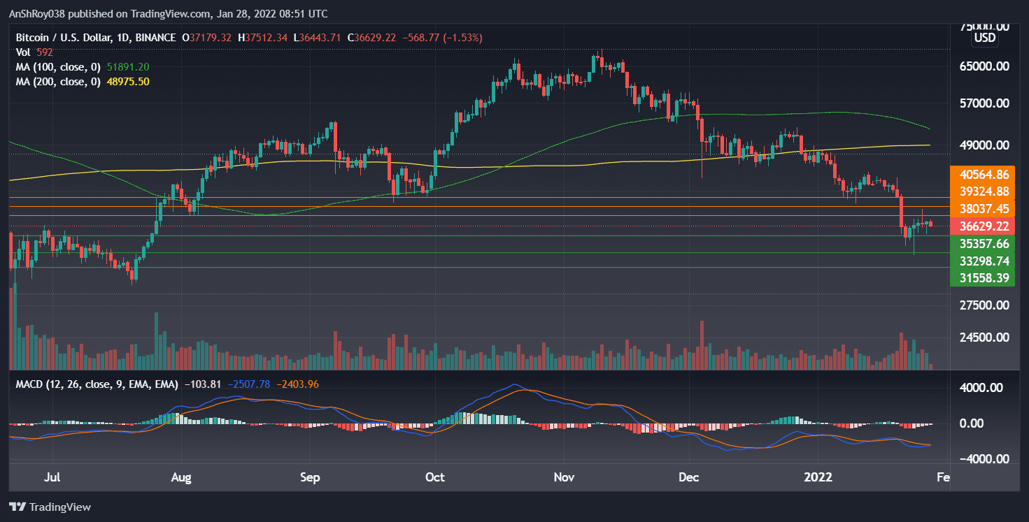BTCUSD on the daily charts with MACD. Source: Tradingview.com
