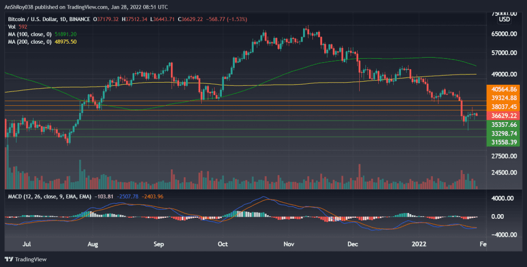 BTCUSD on the daily charts with MACD. Source: Tradingview.com