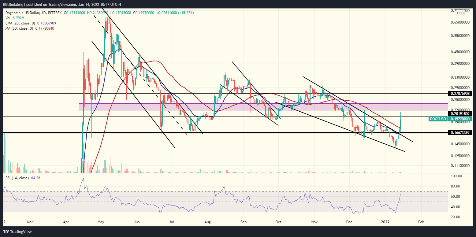 Dogecoin (DOGE) up 40% week-to-date. Source: DOGEUSD on TradingView.com