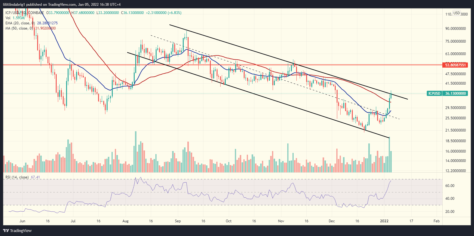 Internet Computer Protocol ICP token price chart