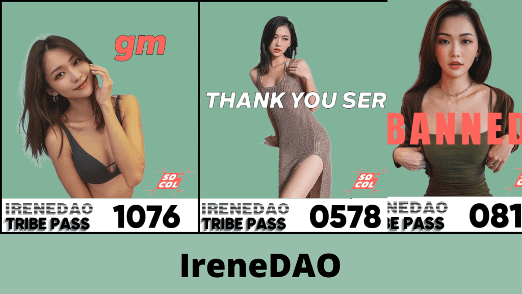 IreneDAO, the new craze on the internet, has sold over $6 million of its NFTs as billioare Mike Novogratz sows his support and admiration.