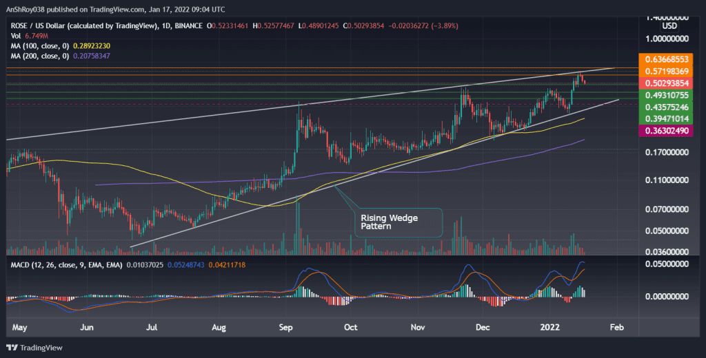 ROSEUSD on the daily charts with MACD. Source: Tradingview.com