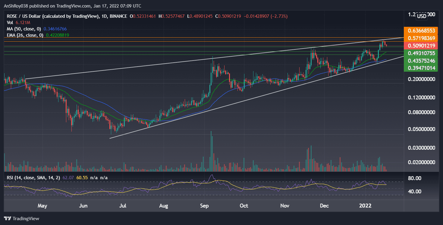 ROSEUSD on the daily charts with RSI. Source: Tradingview.com