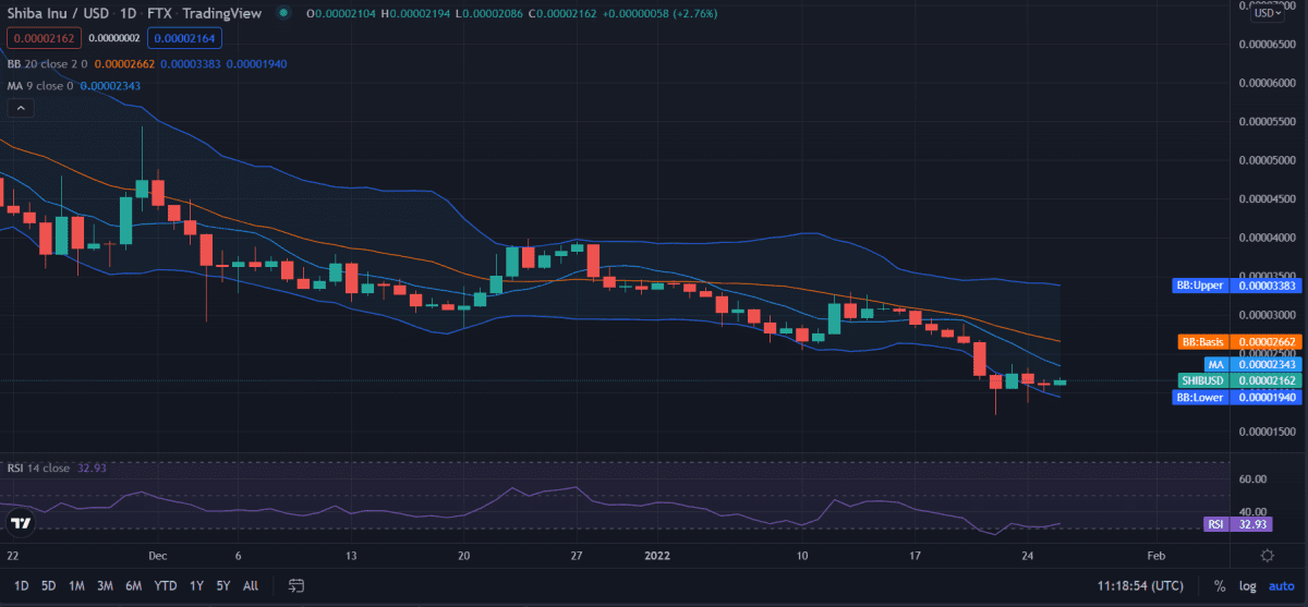 Shiba Inu (SHIB) Daily Price Chart