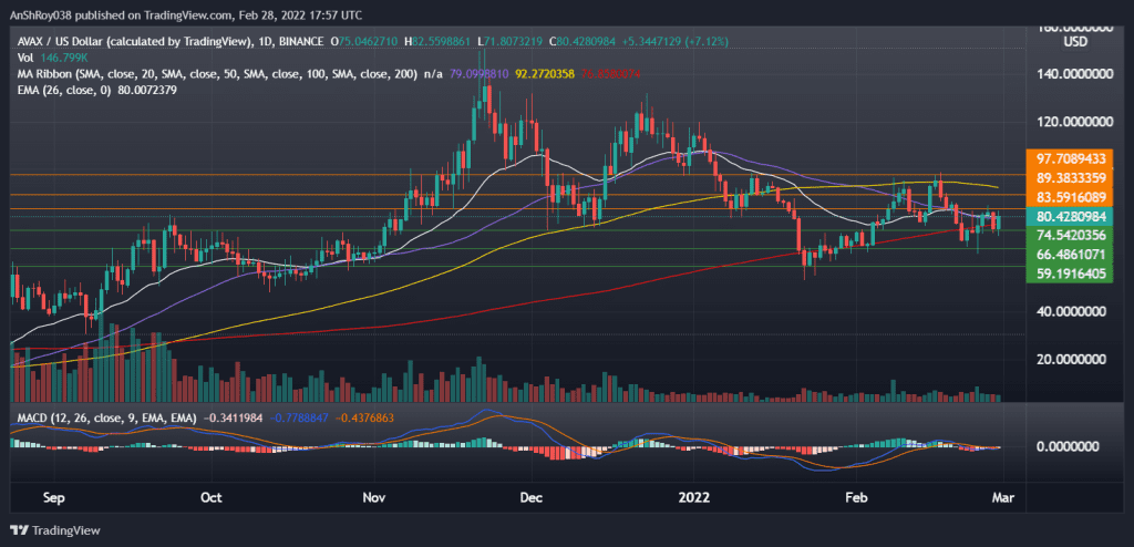 AVAXUSD on the daily charts with MACD. Source: Tradingview.com