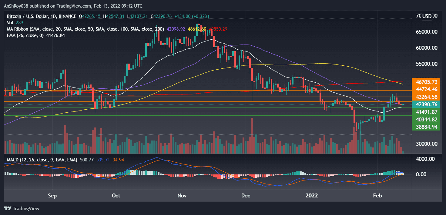 BTCUSD on the daily charts with MACD. Source: Tradingview.com
