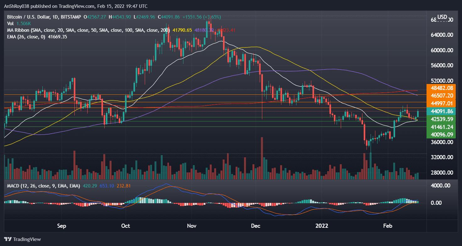 BTCUSD on the daily charts with MACD. Source: Tradingview.com