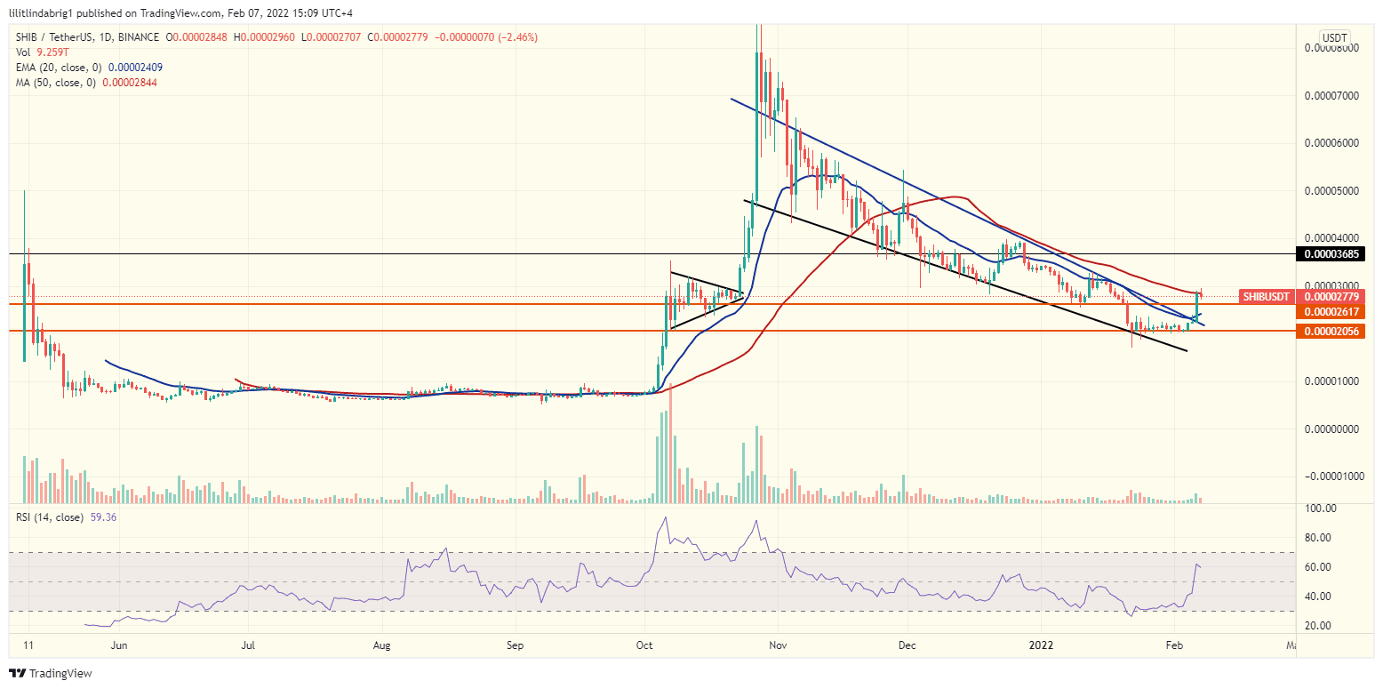 Shiba Inu rallied 74% since bottoming out on Jan. 22. Source: TradingView.com