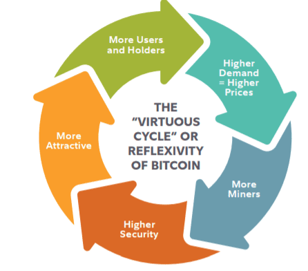 Bitcoin Monetary network cycle. Source: Bitcoin First report