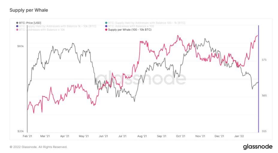 Whale accumulation rate. Source: Glassnode.com 